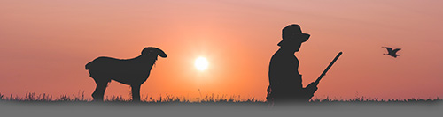Cacciatore con un cane e uccello in volo in controluce al tramonto